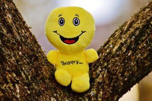 happy face plush toy in a tree